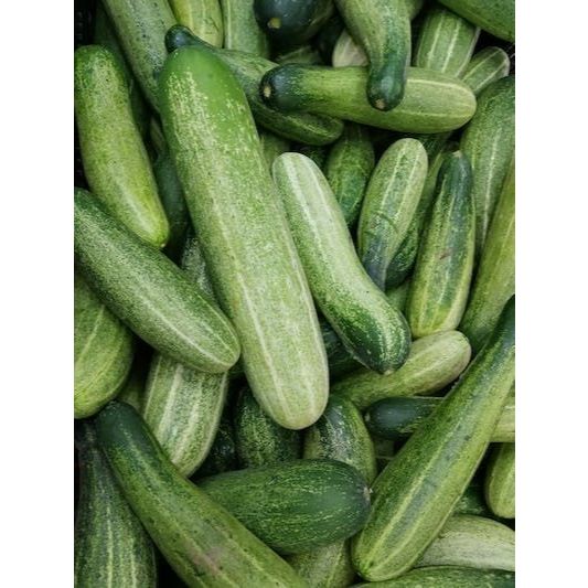 

Timun Segar 250gr - 1kg / Fresh Market