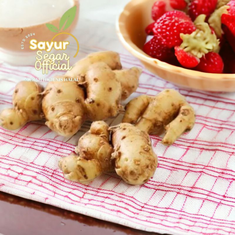 

Kencur Tua Wangi / Fresh 100gr / 250gr - KIRIM INSTAN