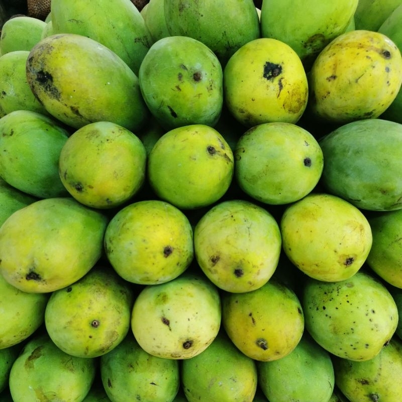 

Buah Mangga Harum Manis1 Kg