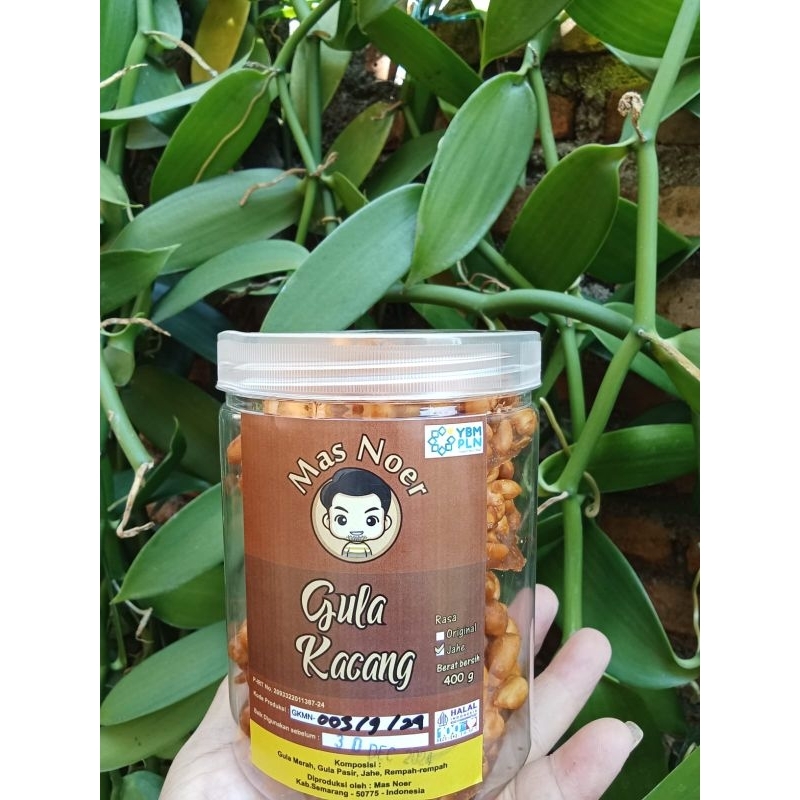 

Gula kacang jahe 400gr Toples enak dan gurihnya jahe