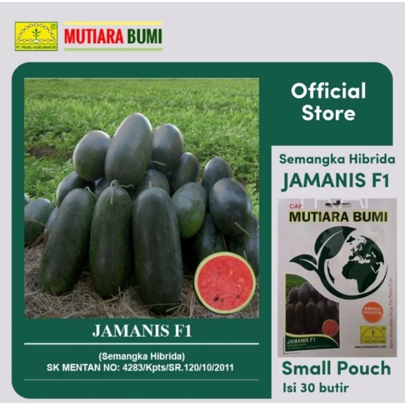 

Semangka Hibrida JAMANIS F1 Kemasan Small Pouch 30 Butir - Benih Semangka Inul Merah Produk Mutiara Bumi