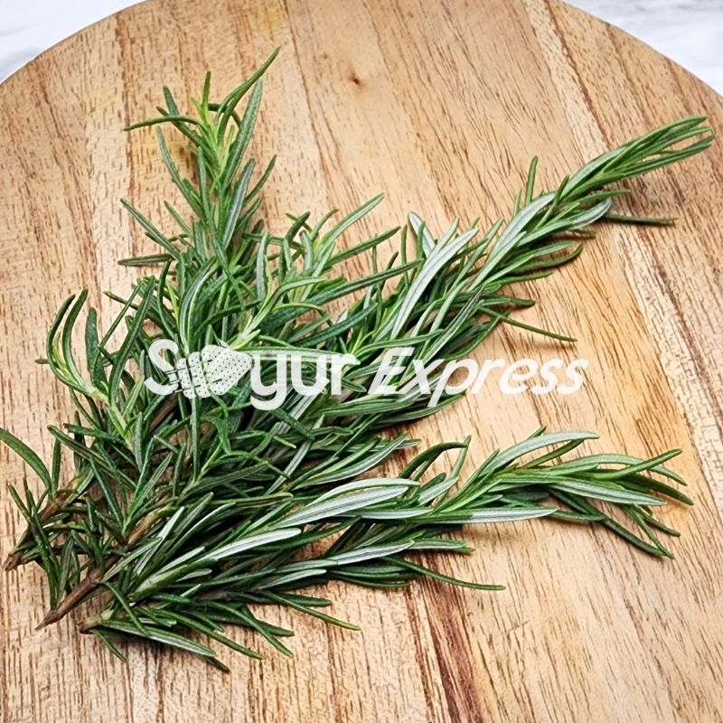 

KIRIM INSTAN Rosemary 10gr