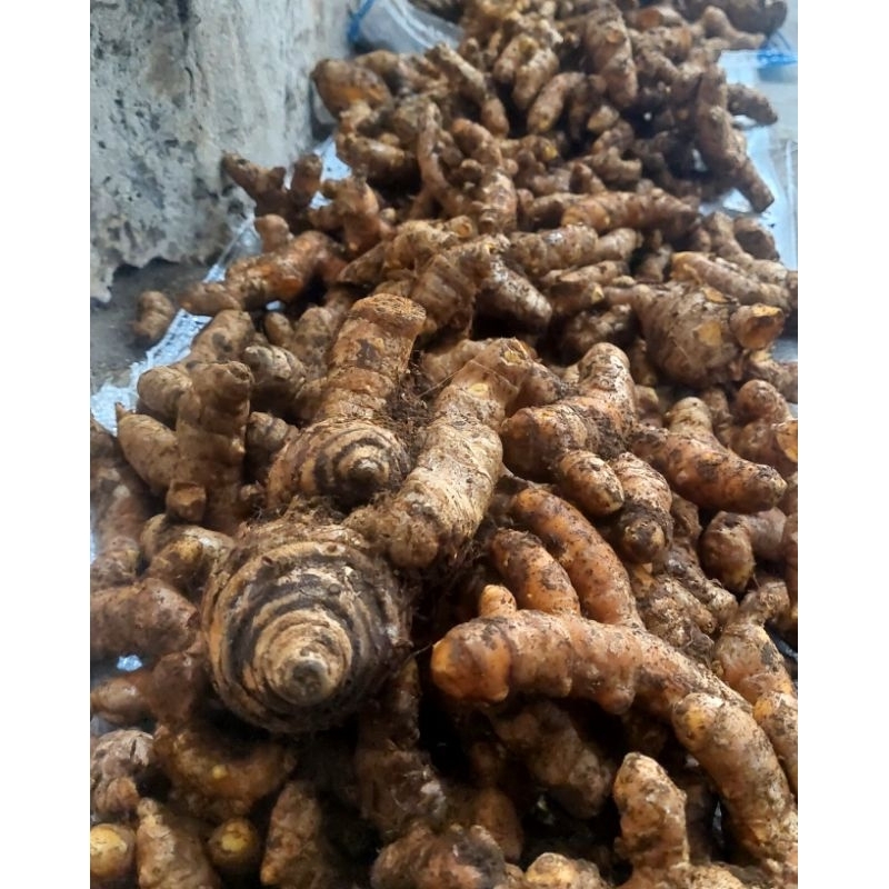 

Temulawak Grade A
