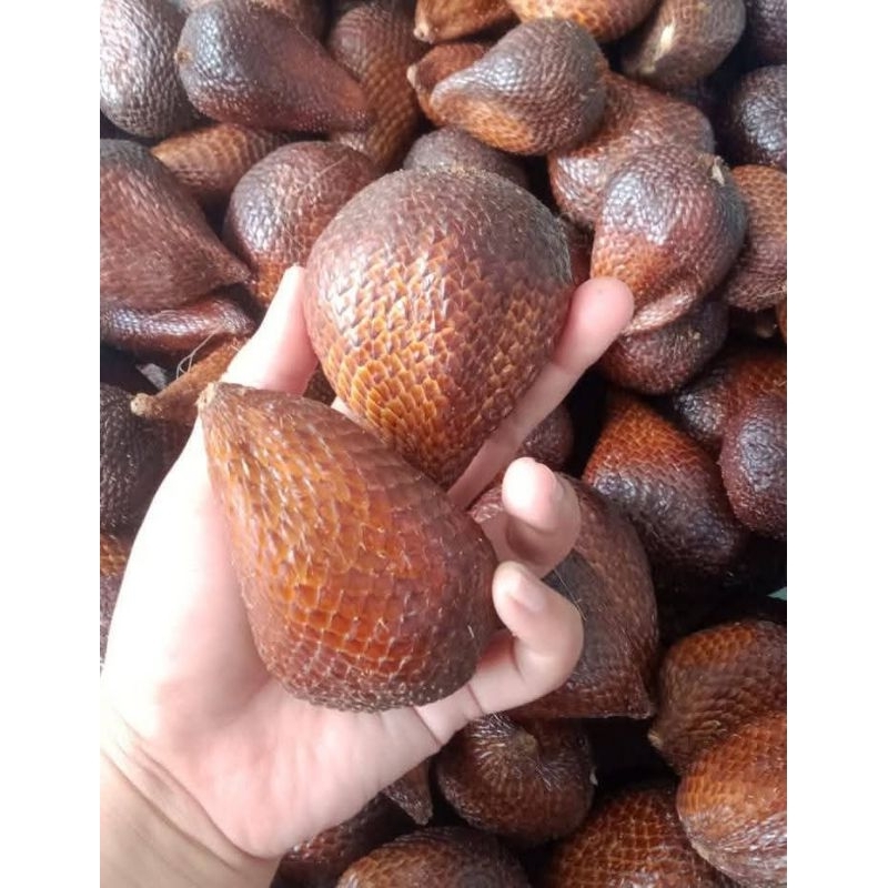 

salak pondoh termurah