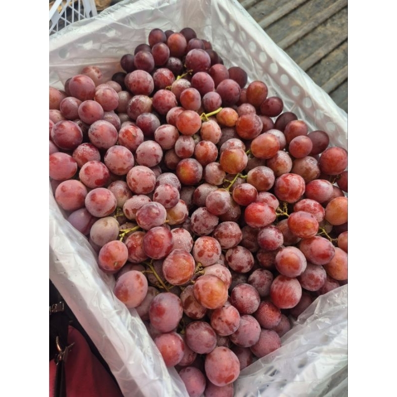 

anggur merah 1 keranjang 6,5kg