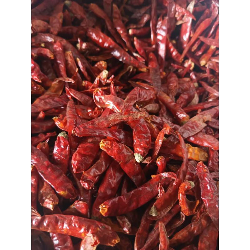 

Cabe teja kering
