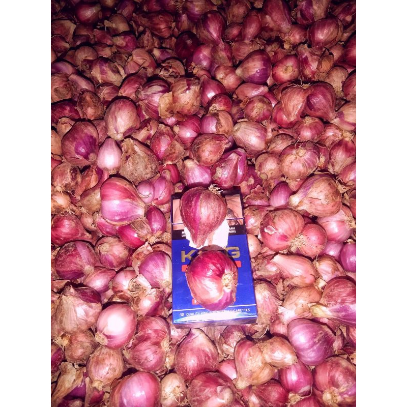 

bawang merah super dan tanggung