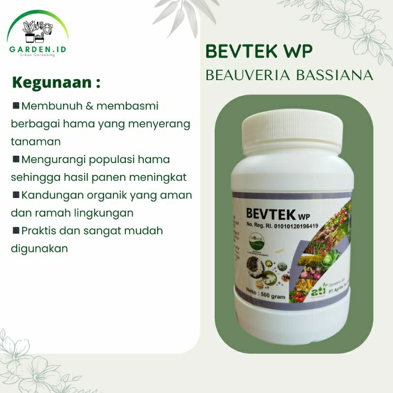 Insektisida Organik/Alami - Beauveria Bassiana 50 gr