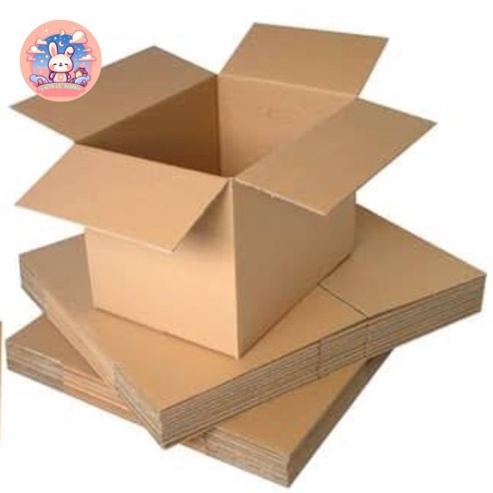 

[PACKAGING EXTRA] Karton Proteksi Extra