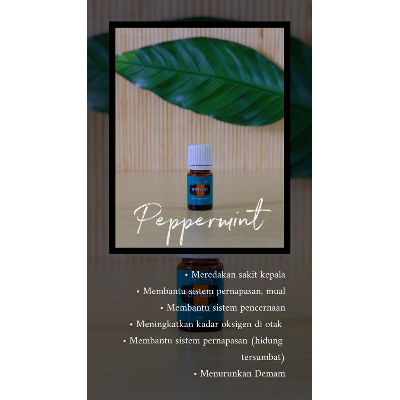 pepermint essential oil Young Living 15ml