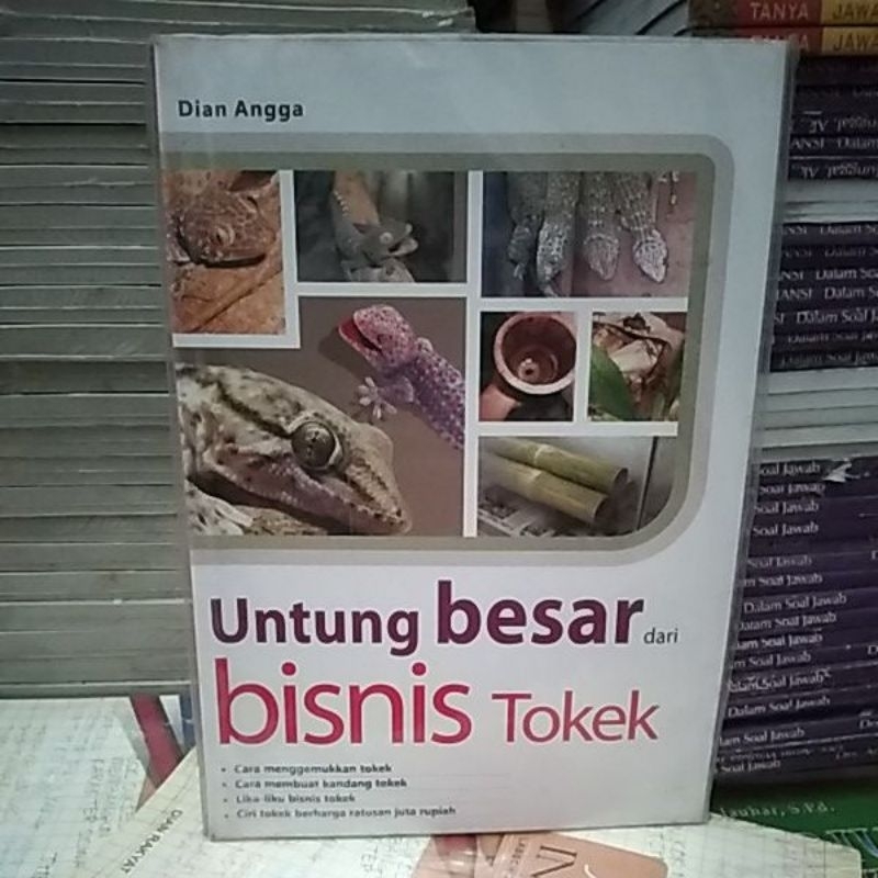 Untung Besar Dari Bisnis Tokek. j4