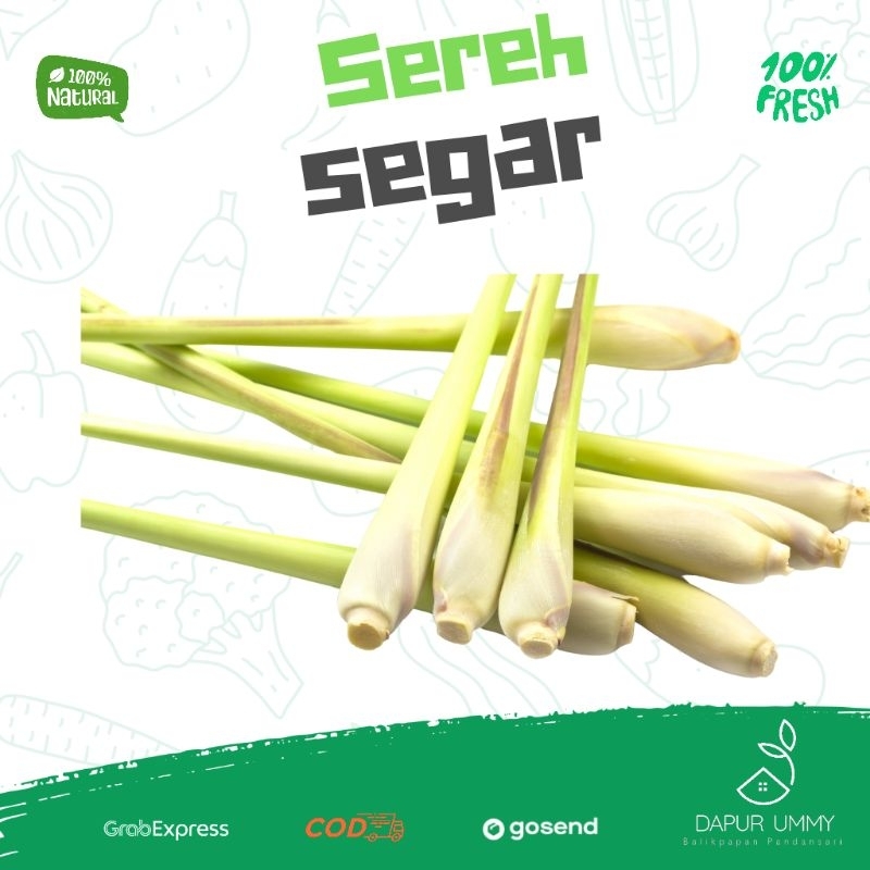 

SEREH • Batang Serai • Perikat