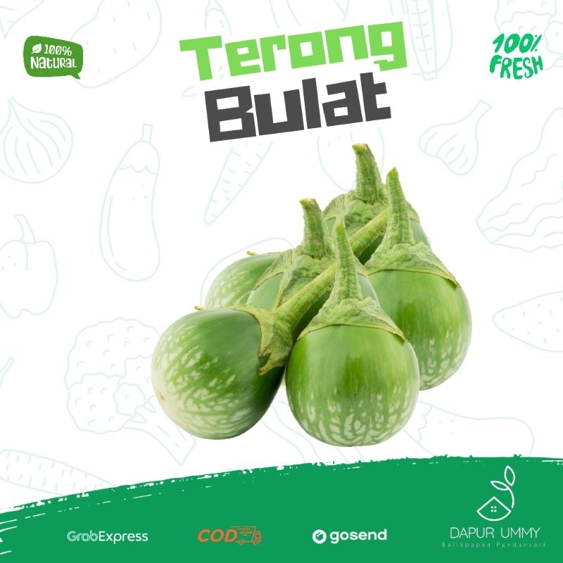 

Terong Bulat | Terong Hijau | Terong lalapan