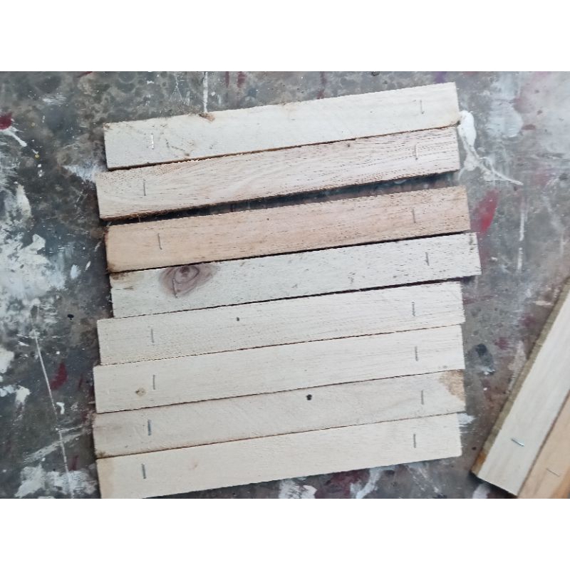 Tempat bertelur lalat Bsf