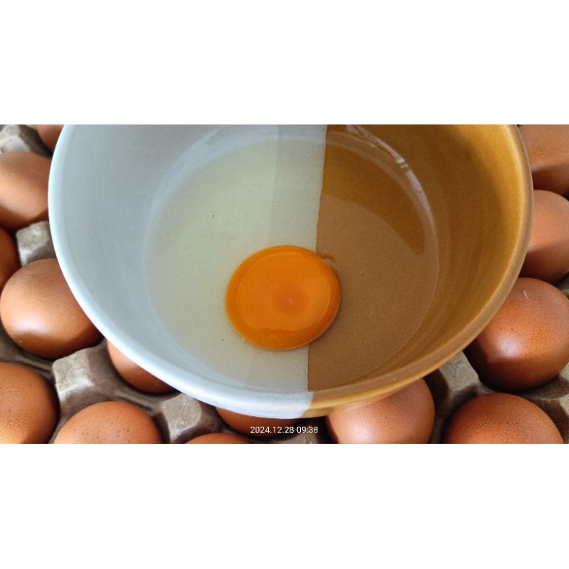 

TELUR NEGERI / HORN OMEGA ISI 30 BUTIR