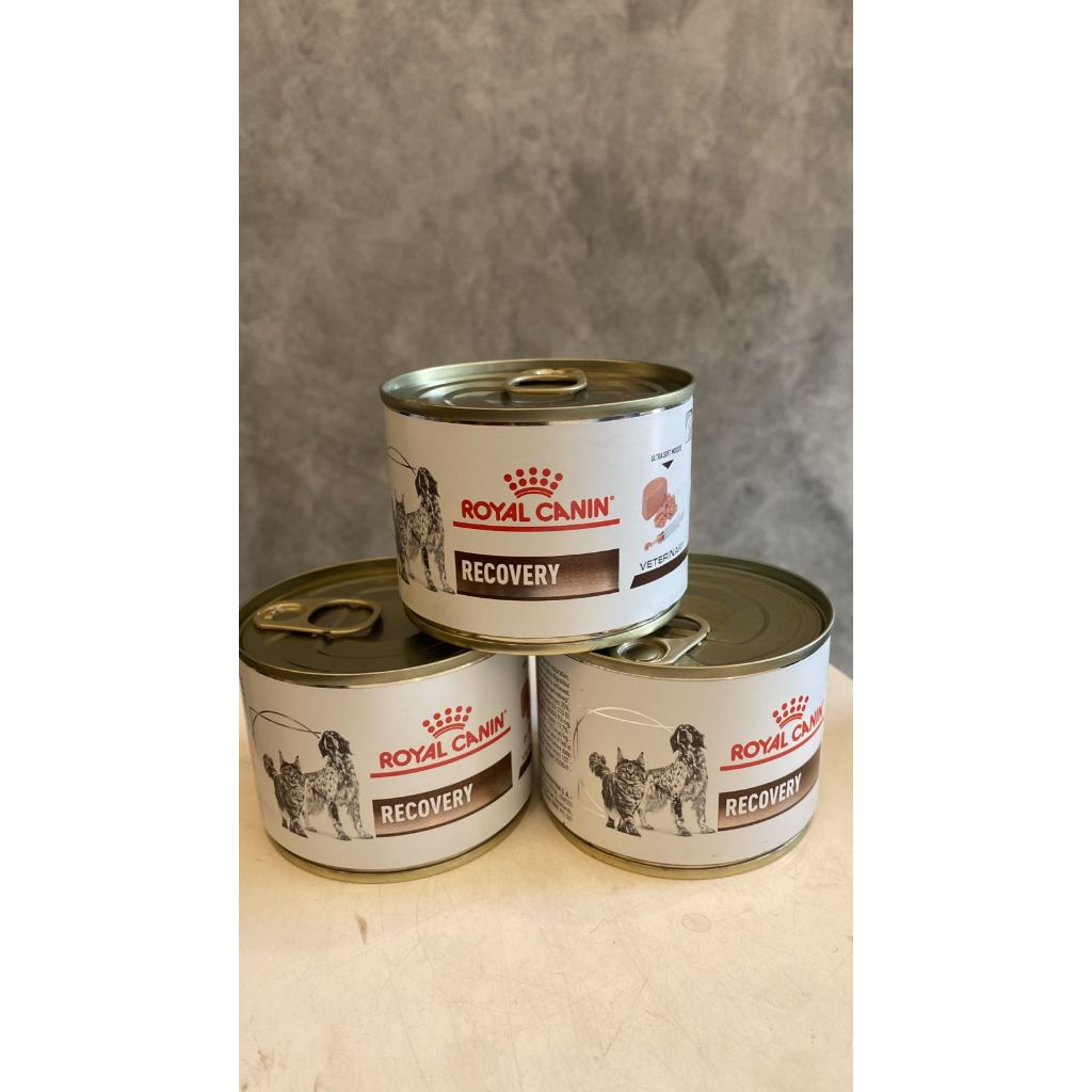 ROYAL CANIN RECOVERY ANJING DAN KUCING