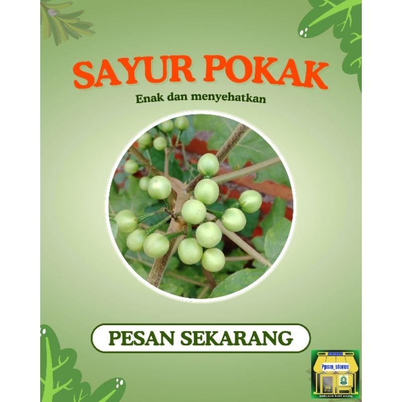 

sayur pokak bahan sambal dan oseng oseng