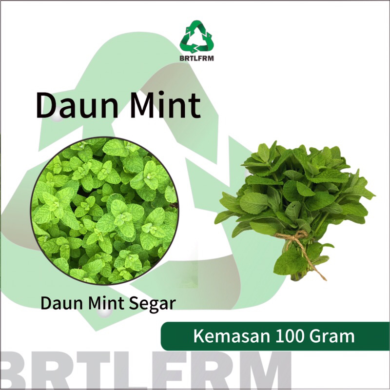 

Daun Mint Segar Organik - 100 gram