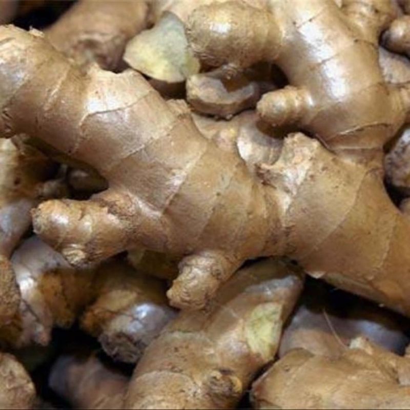 

bibit jahe Paris/jahe emprit di cuci bersih/1kg