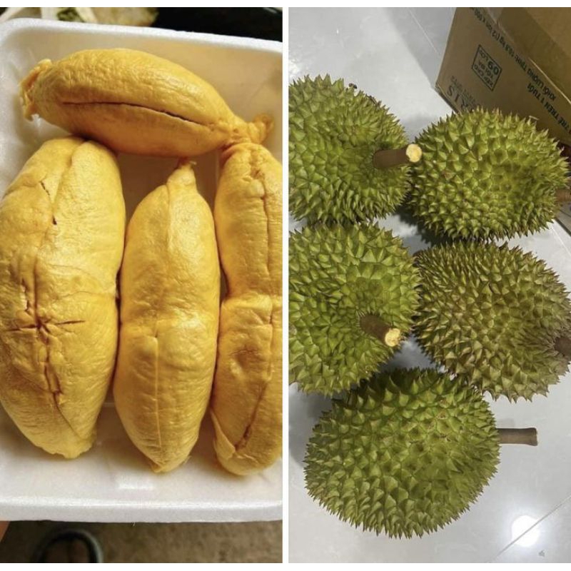 

Durian Super Montong PREMIUM 500grm Durian kupas Frozen