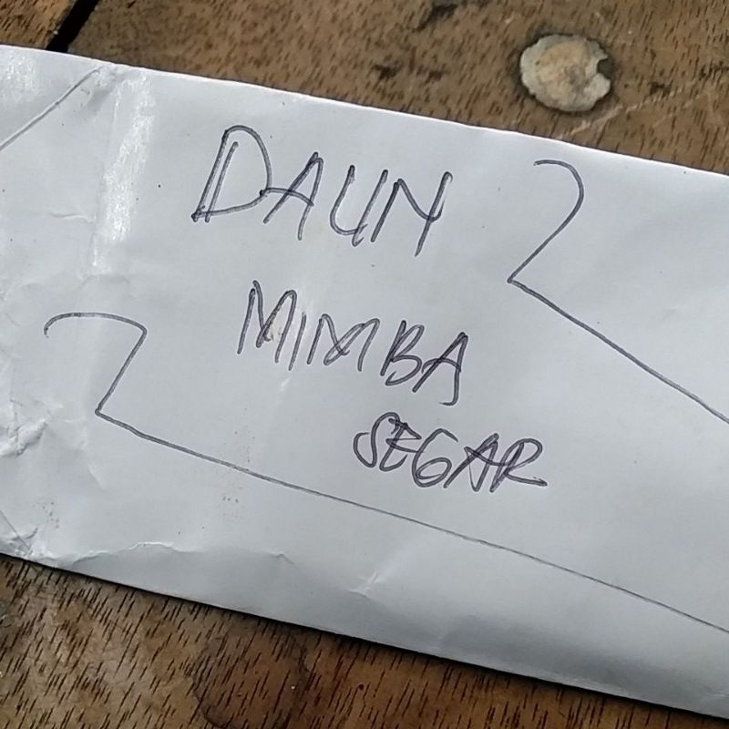 

Daun Mimba Segar 500gr