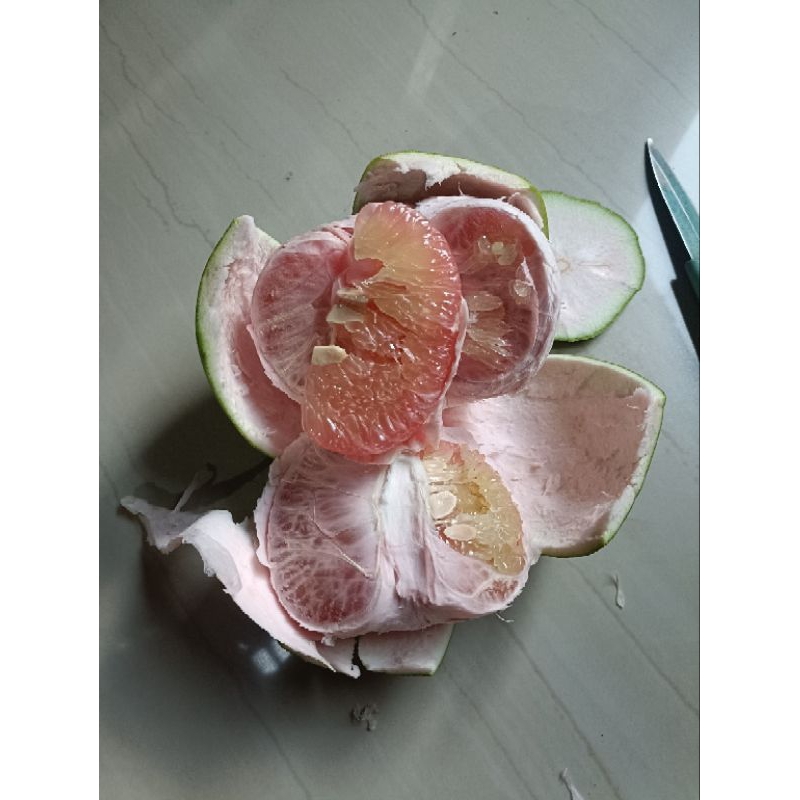 

jeruk pamelo jenis adas duku