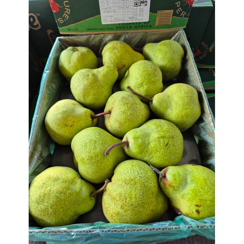 

PIR PAKAM SEDUS ISI 12,5KG