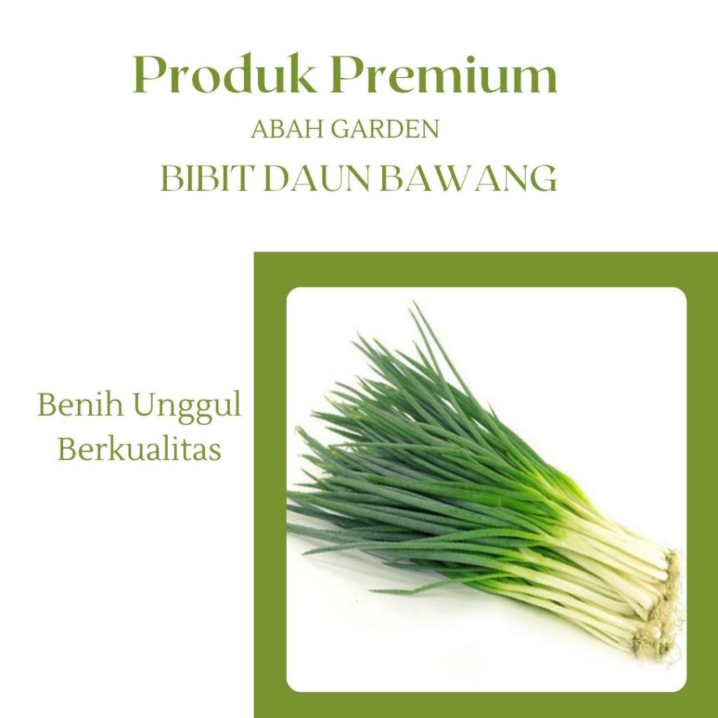 Benih Daun Bawang Bibit Benih Daun Bawang Bibit Unggul