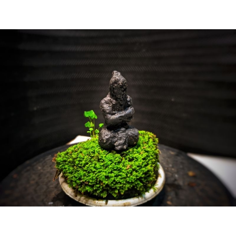 Bonsai Mini Rumah Ornamen bonsai,patung bertapa untuk terarium, paludariaum Miniatur rumah untuk Dio