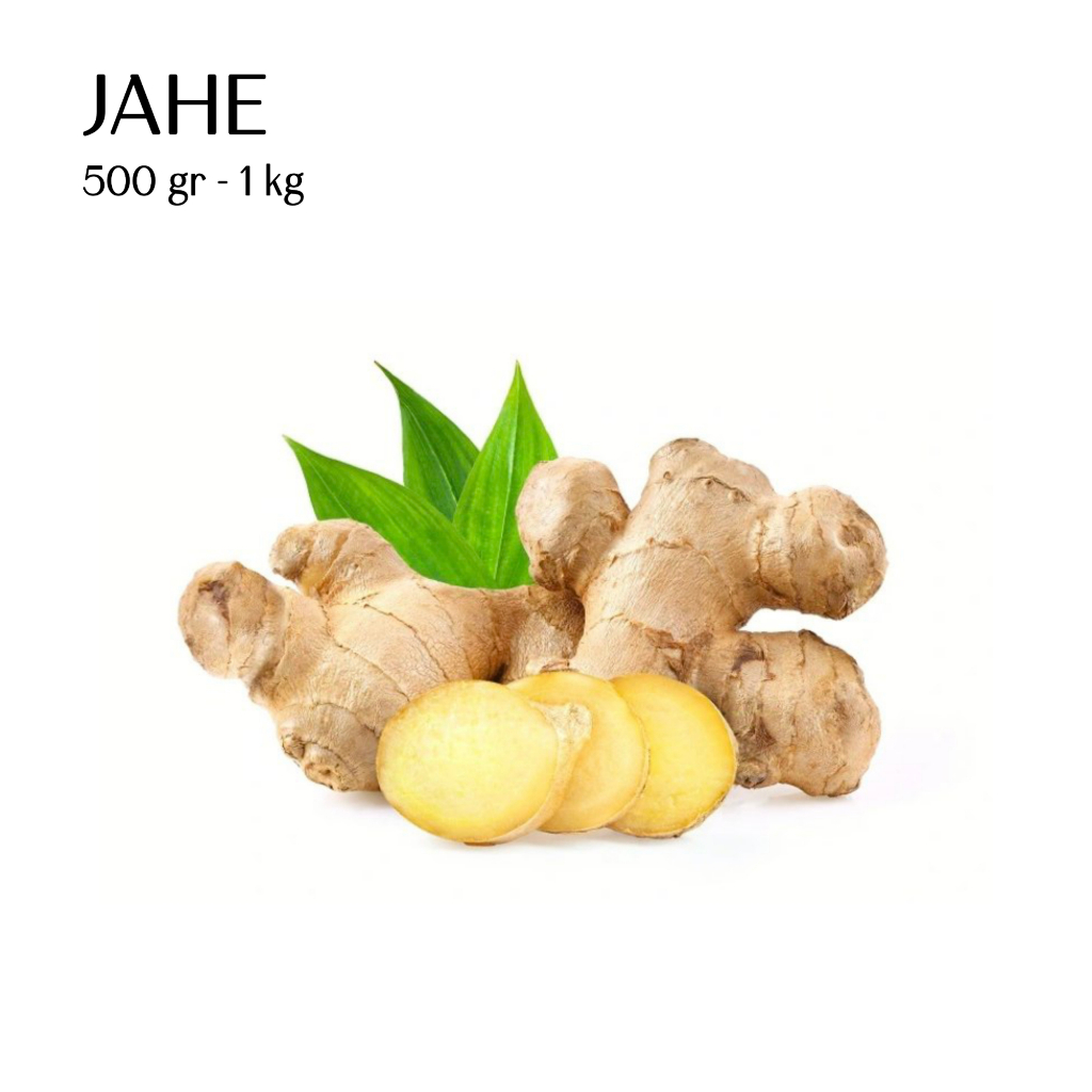 

Jahe Gajah Putih Fresh 500 gr - 1 kg