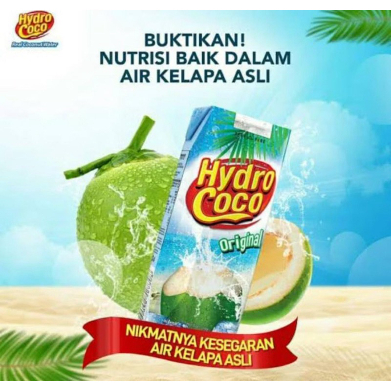 

hydro coco 250 ml