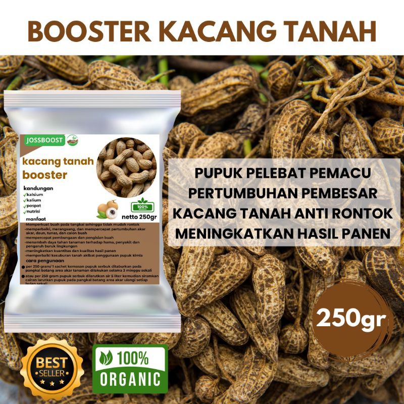 Pupuk Organik Kacang Tanah Cepat Berbuah Pupuk Pelebat dan Booster Kacang Tanah Organik Pupuk Kacang