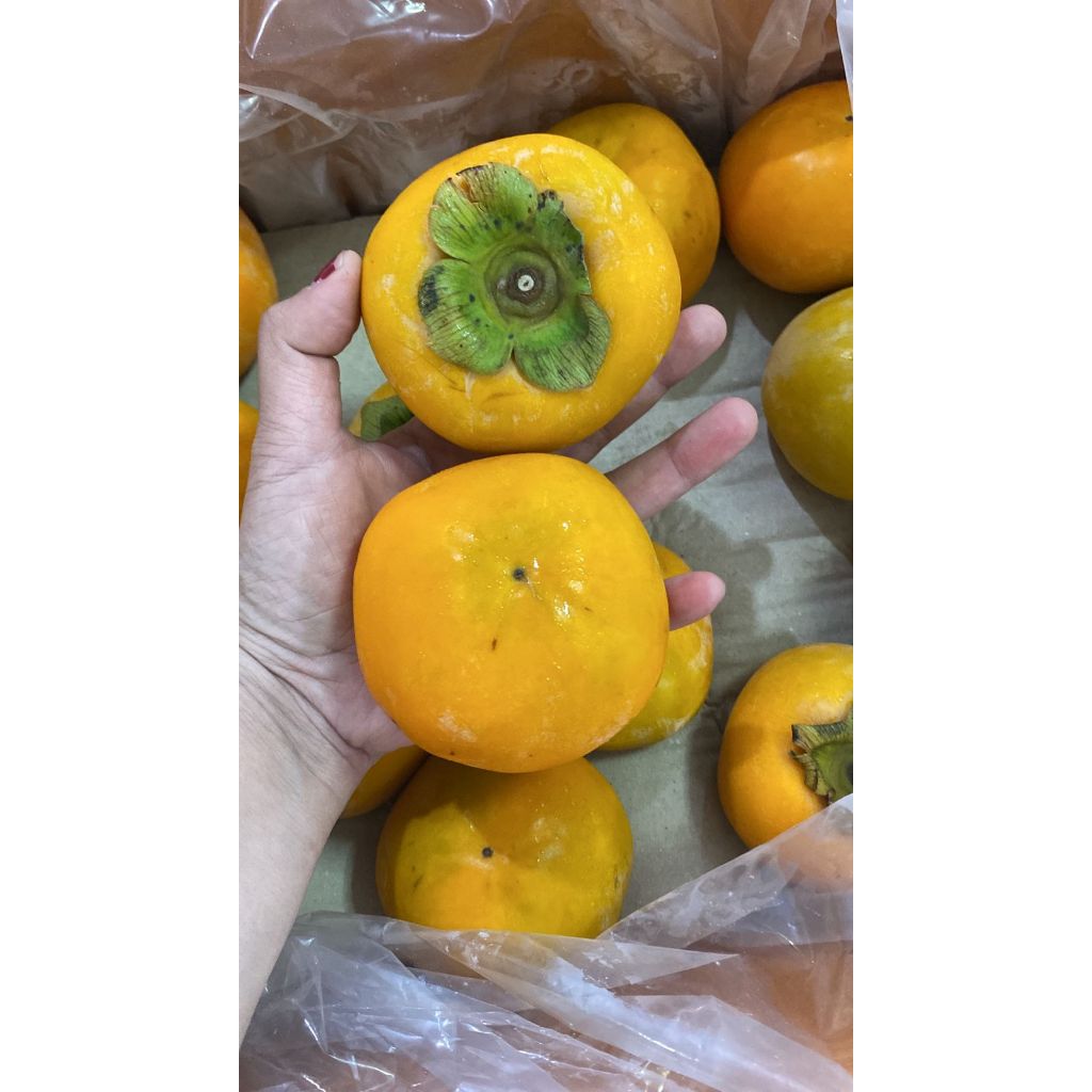 

PERSIMON KOREA KESEMEK ENAK SEGAR DAN FRESH