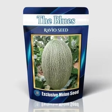 Benih Melon The Blues