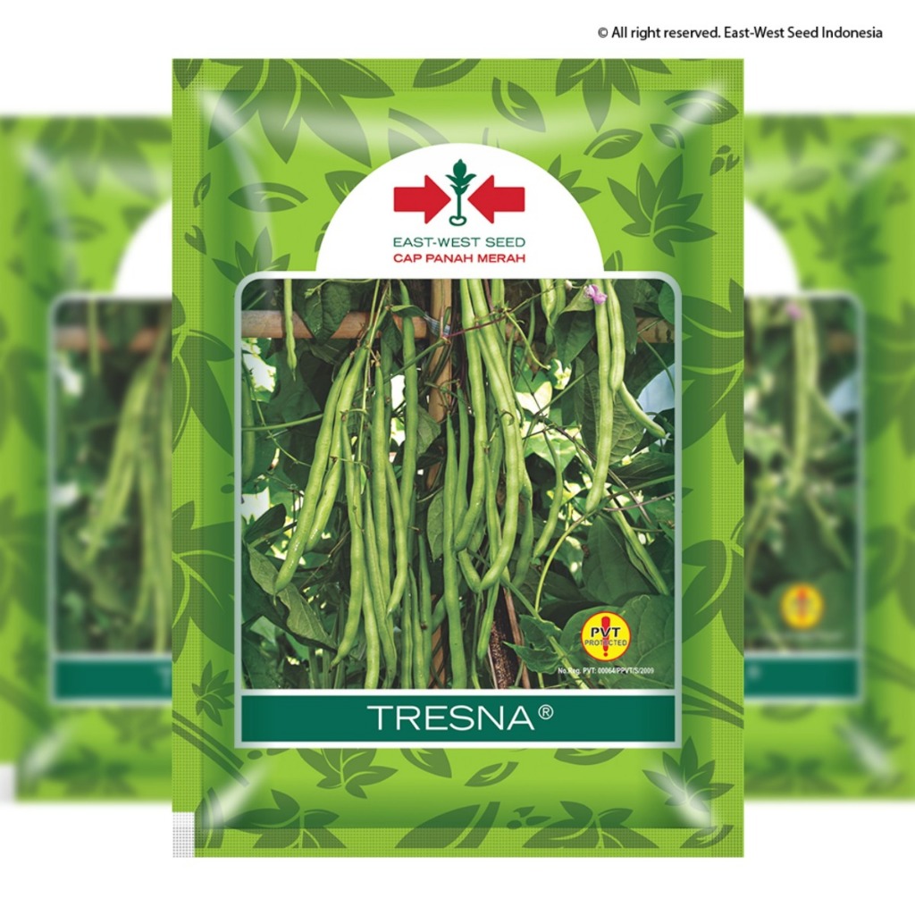 benih buncis tresna 500gr dan 100gr