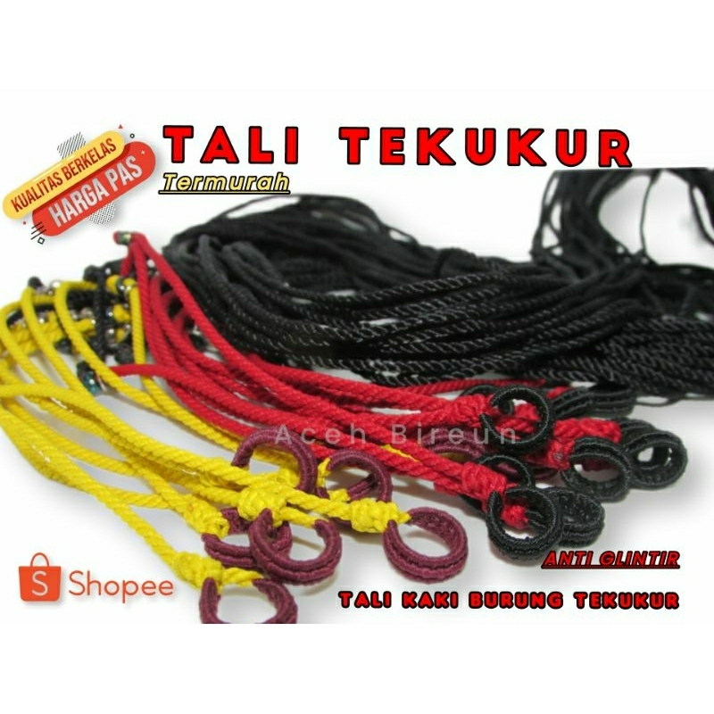 TALI KAKI BURUNG TEKUKUR/TALI PIKAT TEKUKUR