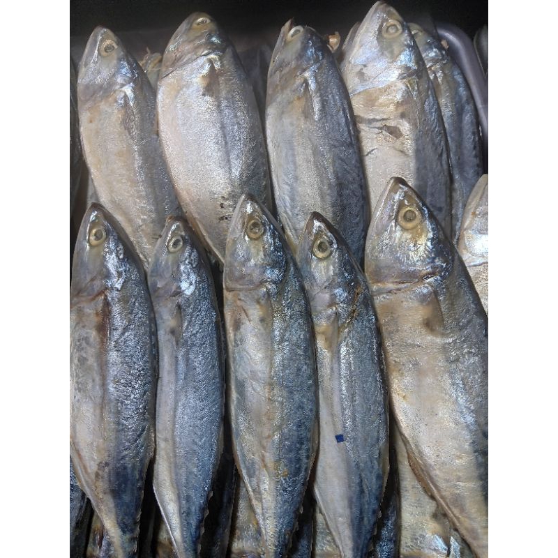 

ikan asin japuh 250gr