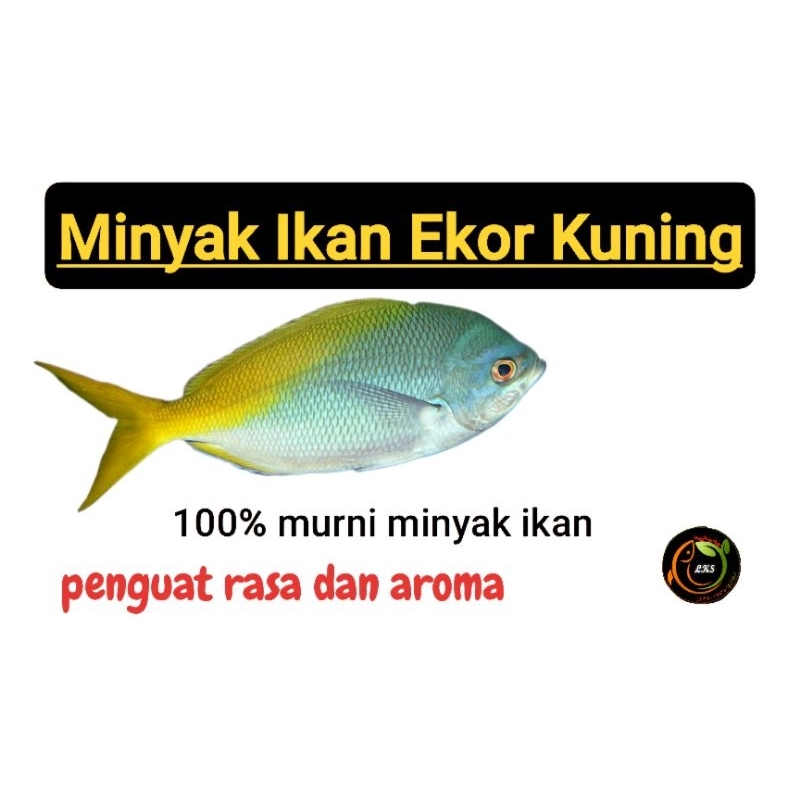 

Minyak Ikan Ekor Kuning / Penguat Aroma dan rasa / campuran adonan masakan