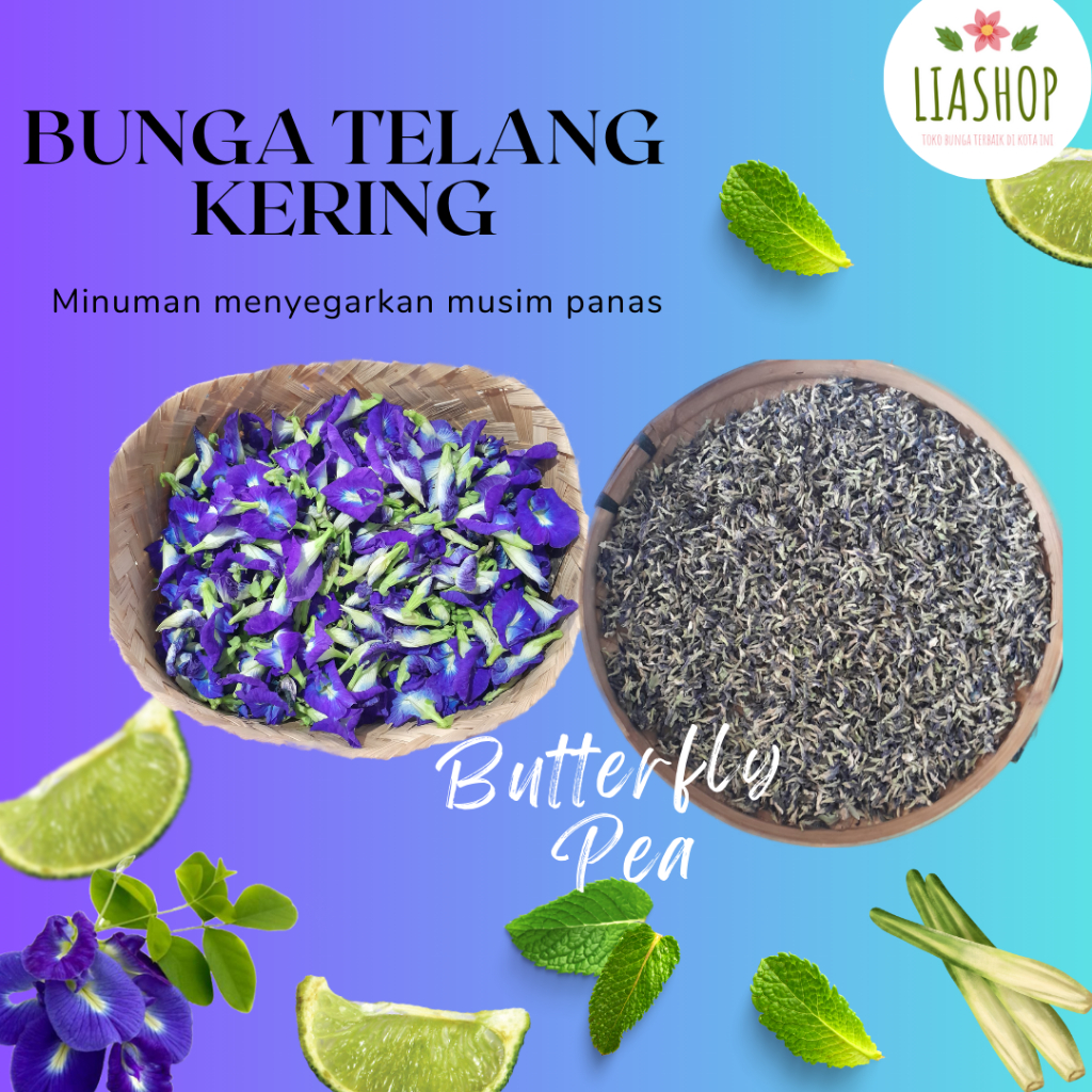 

Bunga Telang Kering Premium Halal