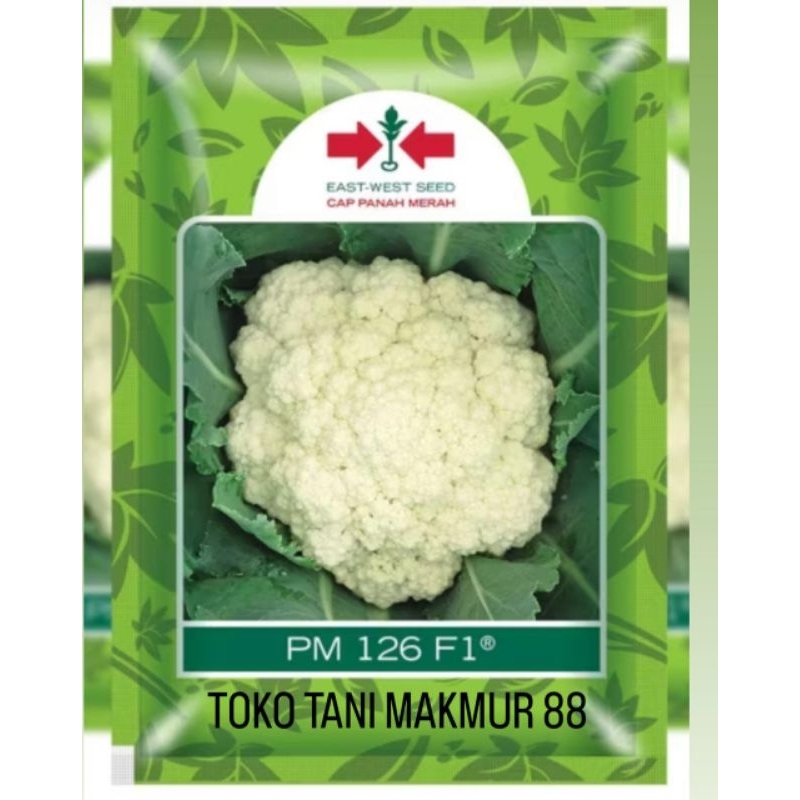 Benih bunga kol PM126 F1 10 gram bungkul hibrida pm 126 panah merah kembang kol pm126 f1