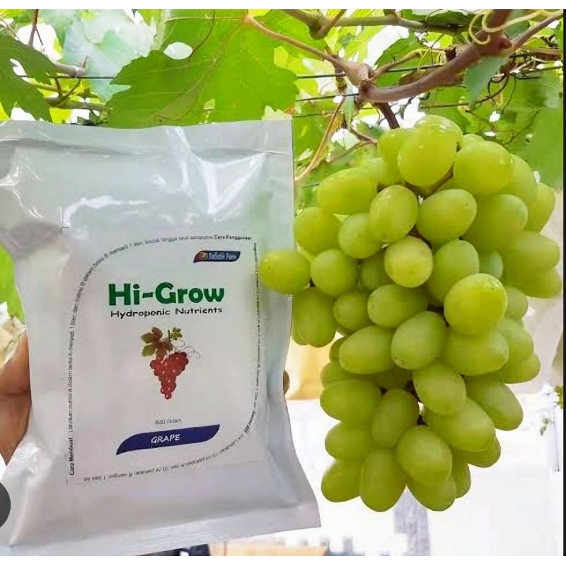 PUPUK HI GROW ANGGUR AB MIX