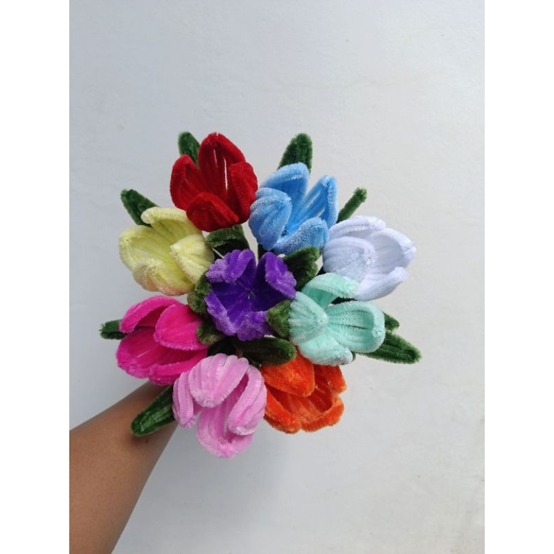Bunga Tulip 1 tangkai, tanpa plastik