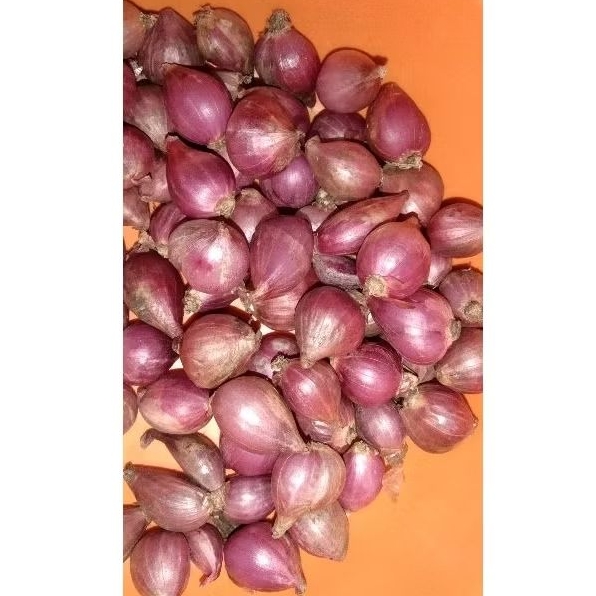 

BAWANG MERAH PROBOLINGGO 1KG | NO.3 TANGGUNG KECIL & KERING NO BUSUK