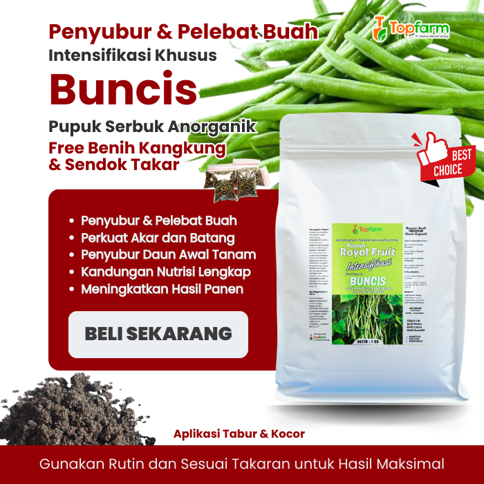 Pupuk Pelebat Buah Kacang Buncis / Booster Pelebat Buah Buncis / Pupuk Kacang Buncis Cepat Berbuah