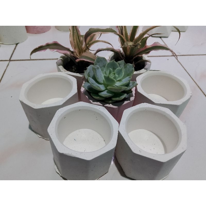 Pot kaktus mini pot lilin pot semen mini pot estetik