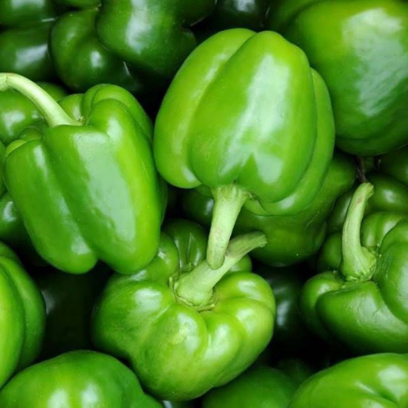 

Paprika Hijau / Capsicum Green Fresh