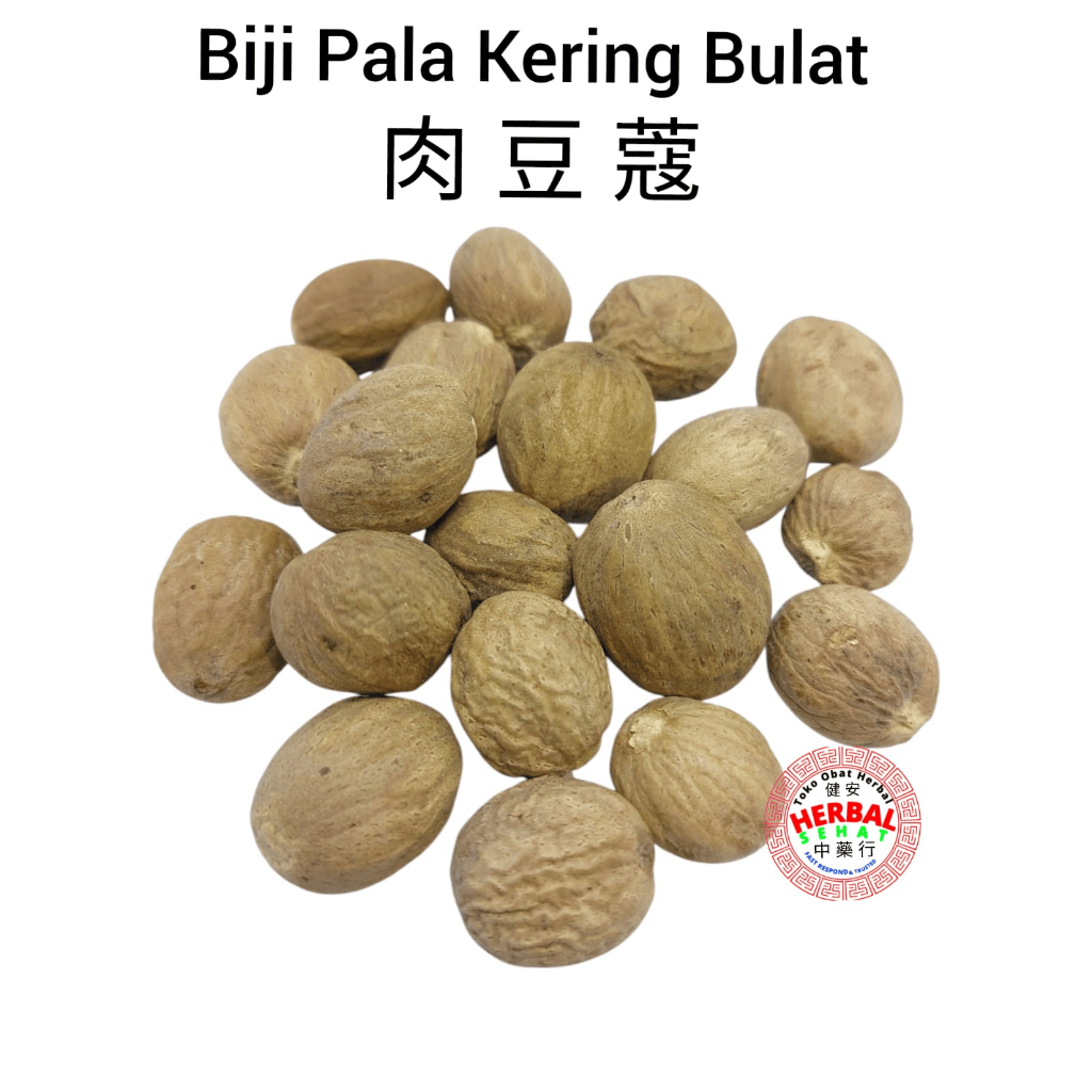 

Biji Pala Bulat / Nutmeg Whole Asli!!! dan Fresh 肉豆蔻