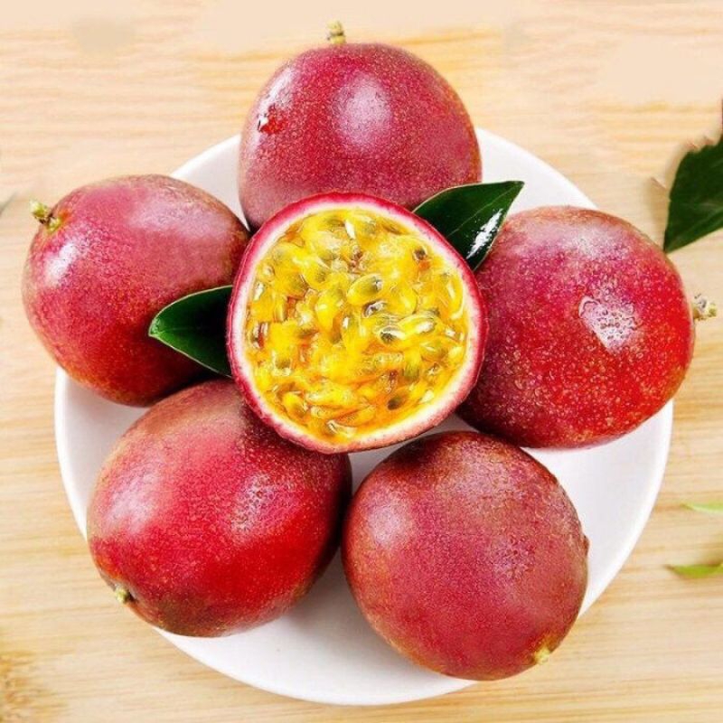 

buah markisa merah atau ungu fresh segar asli matang di pohon 1kg