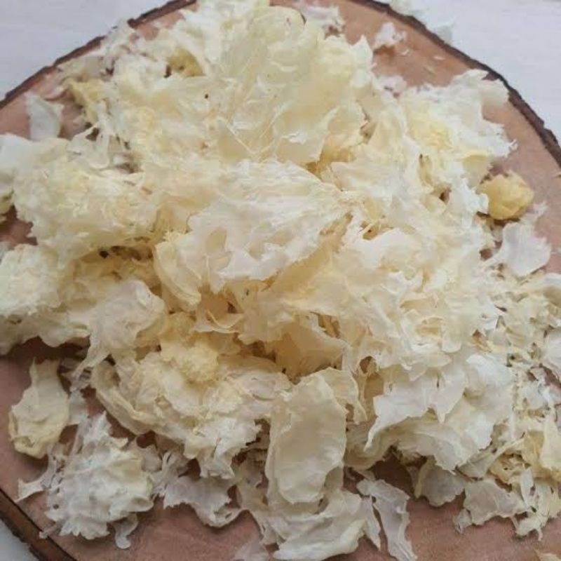 

Remahan jamur salju protolan jamur salju