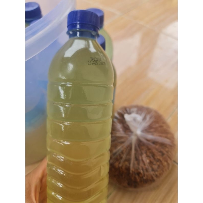 

minyak kelapa asli